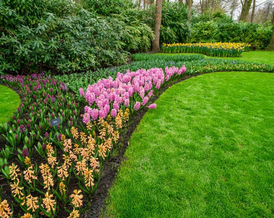 Garden with flowers Laying Synthetic Turf grass solutions