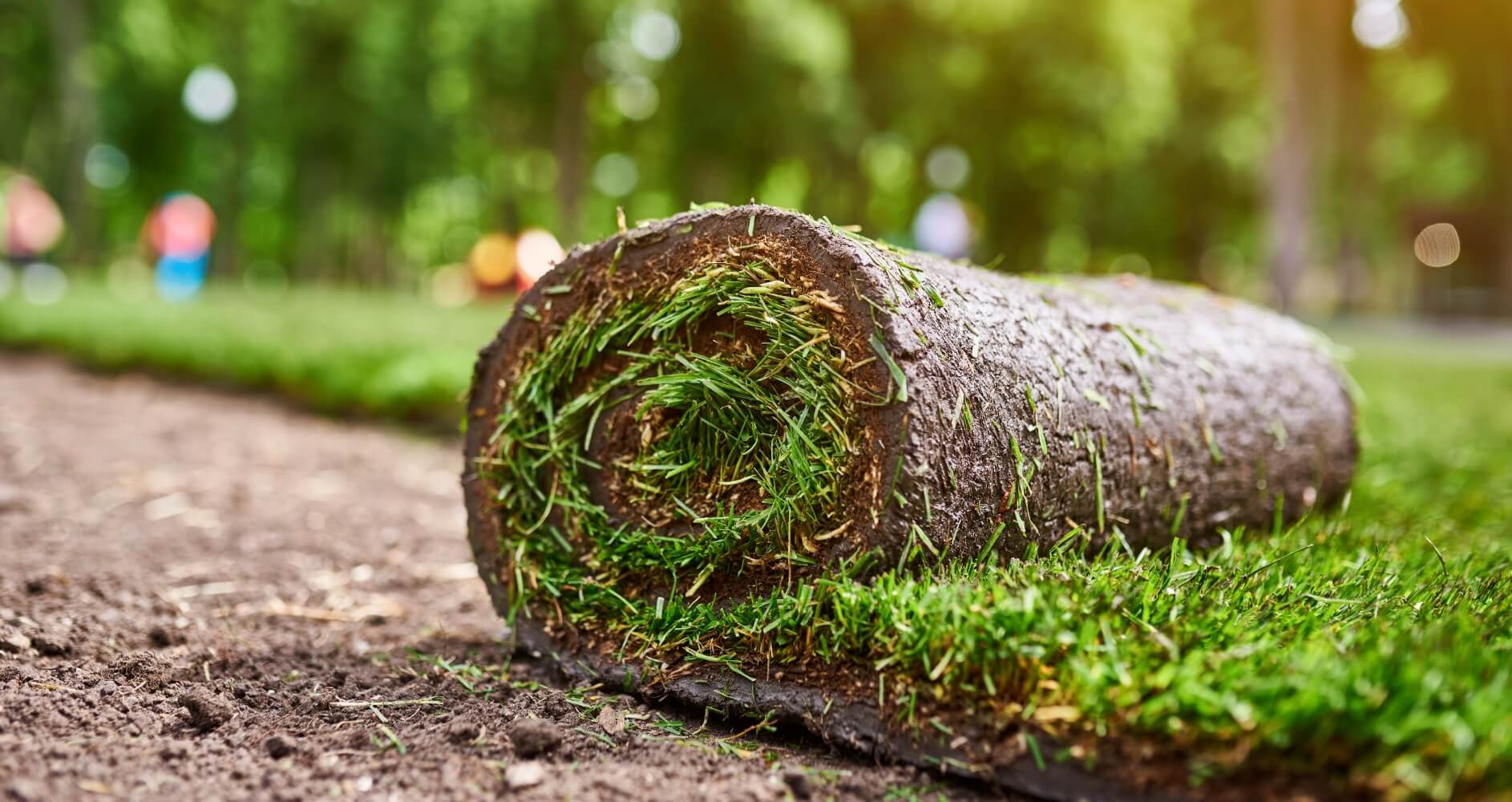 making-new-lawn-using-roll-grass