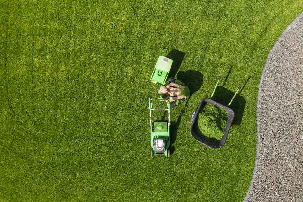 Seasonal Lawn Care Tips for a Healthy, Vibrant Lawn All Year Long