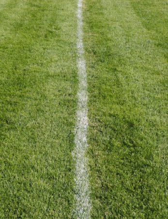 white center line on freshly cut grass a sports
